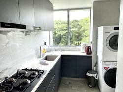 The Chuan (D19), Condominium #576988861